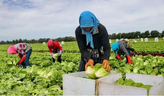 不能让农民致富的助农行为,都是流氓